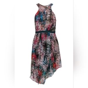 Elizabeth and James dress